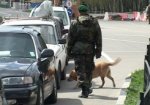 Два пистолета и «травку» обнаружили служебные собаки в машинах, переезжающих через границу