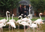Фламингово-сиреневый юбилей. Харьковский зоопарк отметил свой 115-ый День рождения