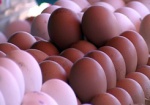 За последний месяц яйца подорожали втрое. Производители уверяют, что цена установилась до октября