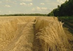 В Харьковской области пересмотрят решения по возмещению потерь в сельхозпроизводстве