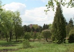 В Харькове планируют создать свой питомник для выращивания деревьев