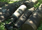 В Изюмском районе обезвредили 40 снарядов времен ВОВ
