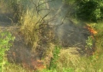 За поджог сухой травы и костры в лесах экологи оштрафовали более 200 человек