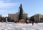 Вместо палаточного городка на площади Свободы поставят елку