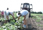 Харьковщина - седьмая с конца в рейтинге областей Украины по сельхозразвитию