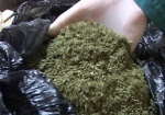 Харьковские правоохранители задержали луганчанина, который вез через границу полкило марихуаны