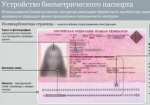 Выпуск биометрических паспортов Украина может начать в 2011 году