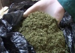 Пенсионерка в сумке с орехами и грушами прятала почти 3,5 килограмма марихуаны