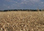 Харьковские сельхозпроизводители договорились о сотрудничестве с турецкими