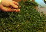 Милиция изъяла у жителя Купянска 100 граммов марихуаны