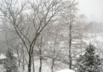 В ближайшие три дня в Харькове ожидаются снегопады