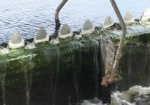 Первомайское водопроводно-канализационное хозяйство нанесло ущерб природе на миллион гривен
