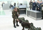 В харьковском аэропорту усилили меры безопасности
