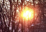 Два солнца над Харьковом. Астрономы прогнозируют, что самая яркая звезда созвездия Ориона может скоро взорваться
