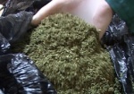 На Харьковщине задержали торговца марихуаной