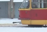 На Академика Павлова трамвай переехал пешехода: мужчина лишился стопы