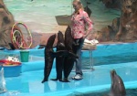 Несколько сотен детей-чернобыльцев бесплатно сходят в дельфинарий