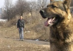 Как защититься от нападения собаки? В Харькове решили прививать правила обращения с животными со школьной скамьи
