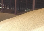 С 1 апреля в Украине не будет квот на экспорт зерна