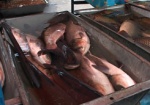 У торговцев конфисковали несколько тонн некачественной рыбы и курятины
