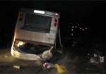 Столкновение автобуса с грузовиком: количество пострадавших растет