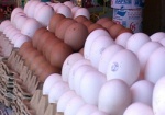 Существенного подорожания яиц к Пасхе не ожидают