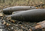 В Валковском районе нашли мины, гранаты и авиабомбу времен войны