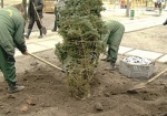Лесоводы Харьковщины научат детей сажать деревья