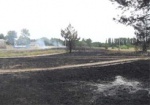 В Дергачевском районе пожилая женщина упала в горящую траву