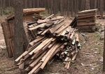 ГАСК «разрешил» строительство в лесу. Прокуратура возбудила уголовное дело