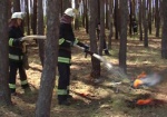 В Двуречанском районе горел лес