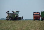 С молитвой о дожде. Будущий урожай на Харьковщине может погубить засуха
