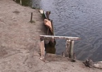 В Харькове утонула девушка