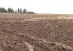 Бывшие чиновники Русско-Лозовского сельсовета незаконно раздали почти 3 гектара земли. Прокуратура возбудила уголовное дело