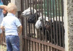 В Харьковском зоопарке отметили День Айболита