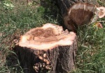 Экоинспекция: В Харьковской области незаконно рубят деревья