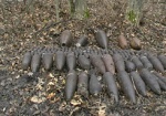 В Харькове в лесополосе нашли почти три десятка артснарядов времен войны