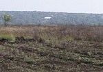 В Дергачевском районе чиновники незаконно раздали почти гектар земель