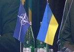 СМИ: Янукович пошел на сближение с НАТО, в России обещают «реагировать»