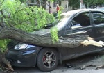 Деревья на дорогах, затопленные улицы и дома. Что натворила стихия в Харькове?