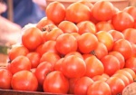 Под оптовый рынок сельхозпродукции отдадут 80 гектаров на окраине Харькова