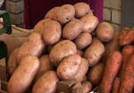 В Харьковской области хотят возродить крупные картофельные хозяйства