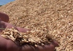 На Харьковщине намолотили первые 50 тысяч тонн ранних зерновых