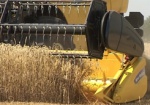 Харьковские аграрии собирают в 2 раза больше зерна, чем в прошлом году