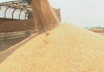 Харьковские аграрии все ближе к урожаю в 2 миллиона тонн зерна