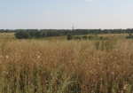 В Харькове фирма незаконно захватила почти 2 гектара земли