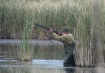 На востоке и юге Украины охоту пока не разрешают
