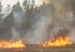 В этом году произошло в 2 раза меньше лесных пожаров, чем в предыдущем