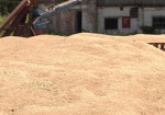 Добкин поручил запасти зерна для области на целый год