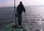 В Украине хотят повысить штрафы за рыбное браконьерство